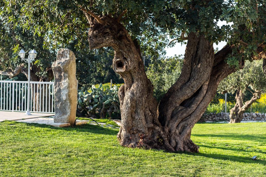 Appartamento Il Giardino dei Frangipani Santa Croce Camerina Esterno foto